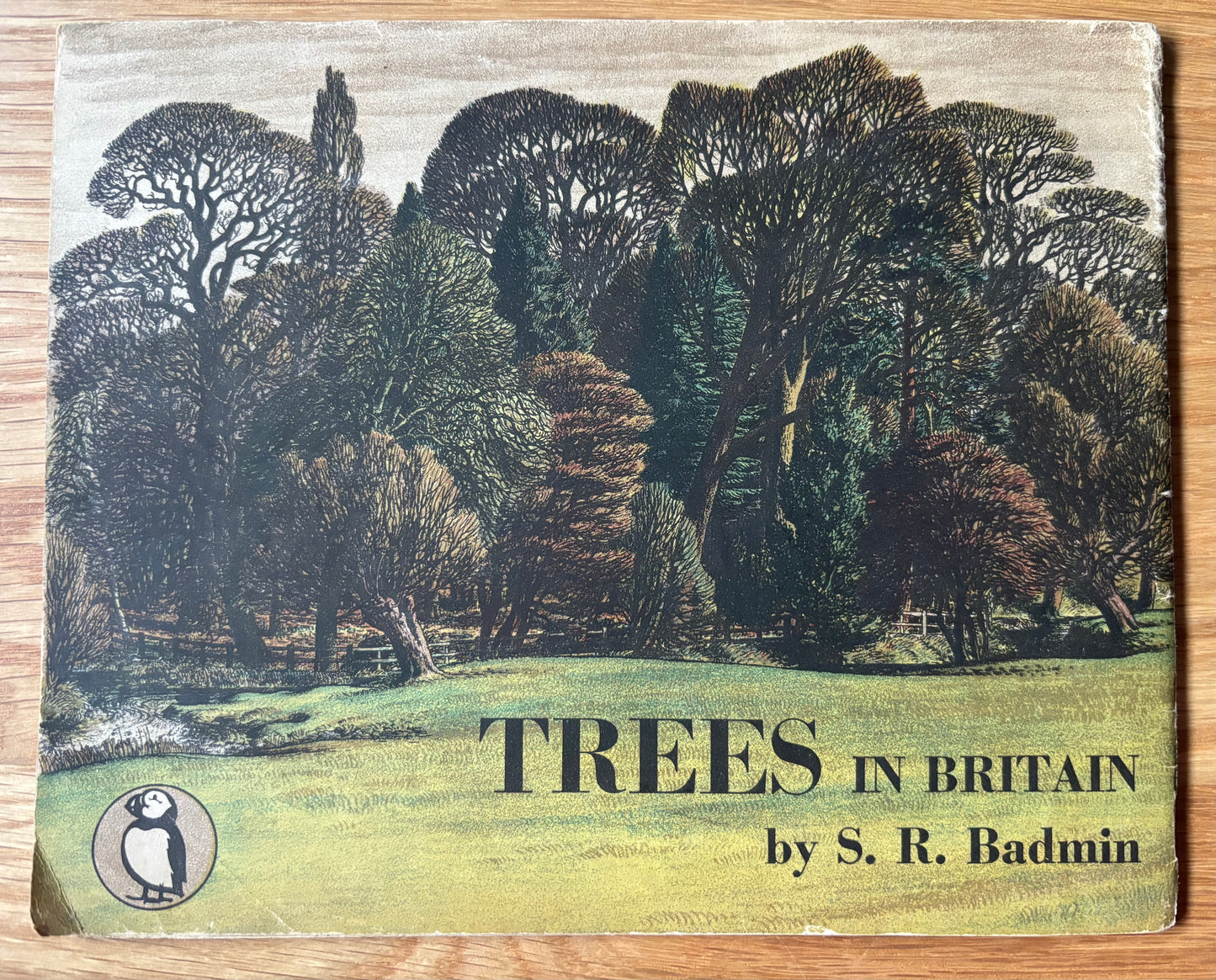 S R Badmin TREES IN BRITAIN Puffin Picture Book No 31 1st Ed ILLUSTRATED