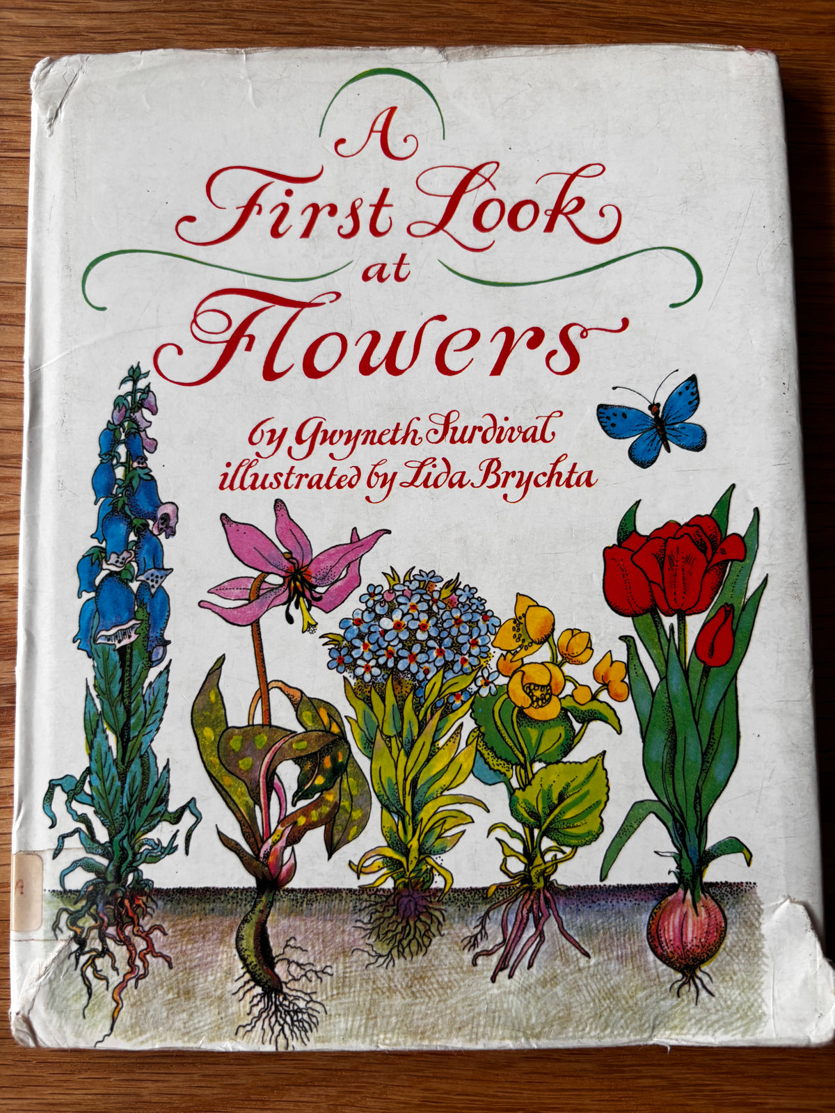 Lida Brychta A FIRST LOOK AT FLOWERS 1st Ed DJ 1973 Franklin Watts ILLUSTRATED