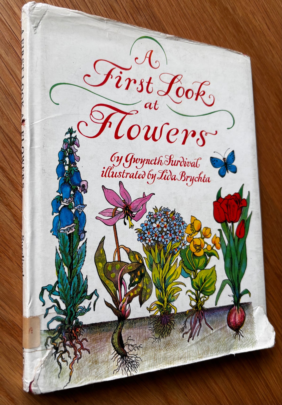 Lida Brychta A FIRST LOOK AT FLOWERS 1st Ed DJ 1973 Franklin Watts ILLUSTRATED