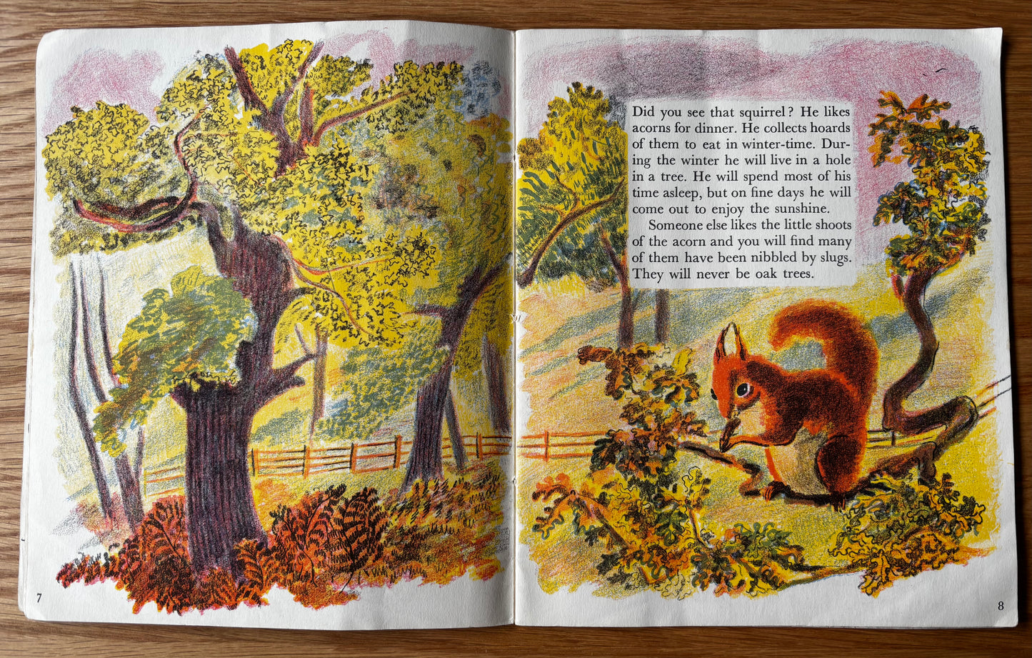 Trekkie Ritchie Parsons COME AND SEE IN AUTUMN Chatto & Windus NATURE BOOK Open Your Eyes