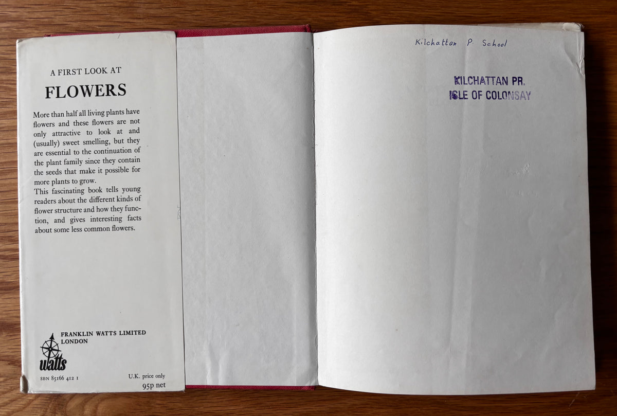 Lida Brychta A FIRST LOOK AT FLOWERS 1st Ed DJ 1973 Franklin Watts ILLUSTRATED
