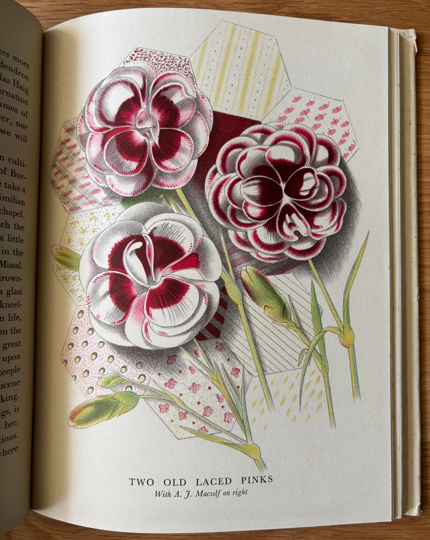 OLD FASHIONED FLOWERS 1948 DJ Sacheverell SItwell John Farleigh