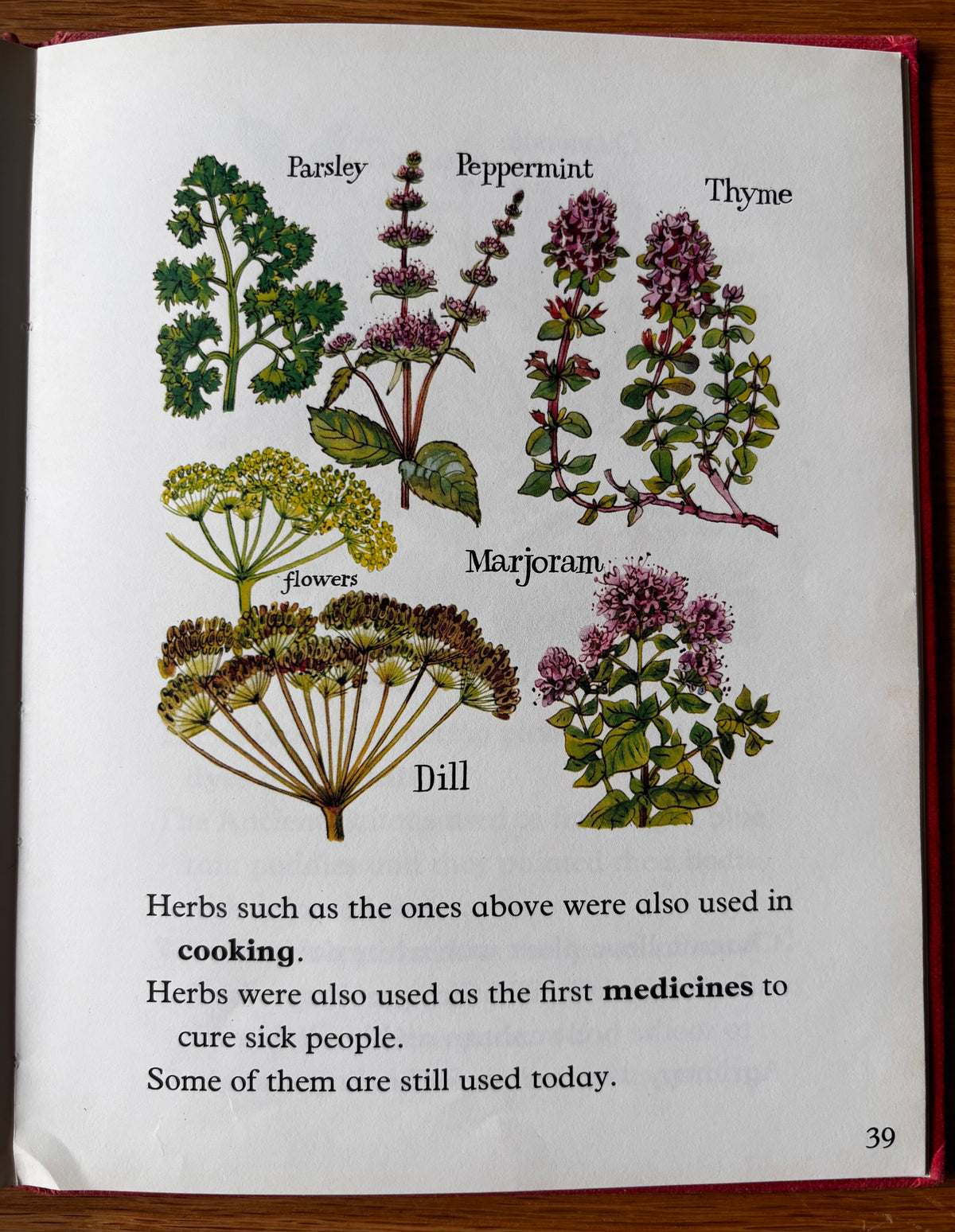 Lida Brychta A FIRST LOOK AT FLOWERS 1st Ed DJ 1973 Franklin Watts ILLUSTRATED