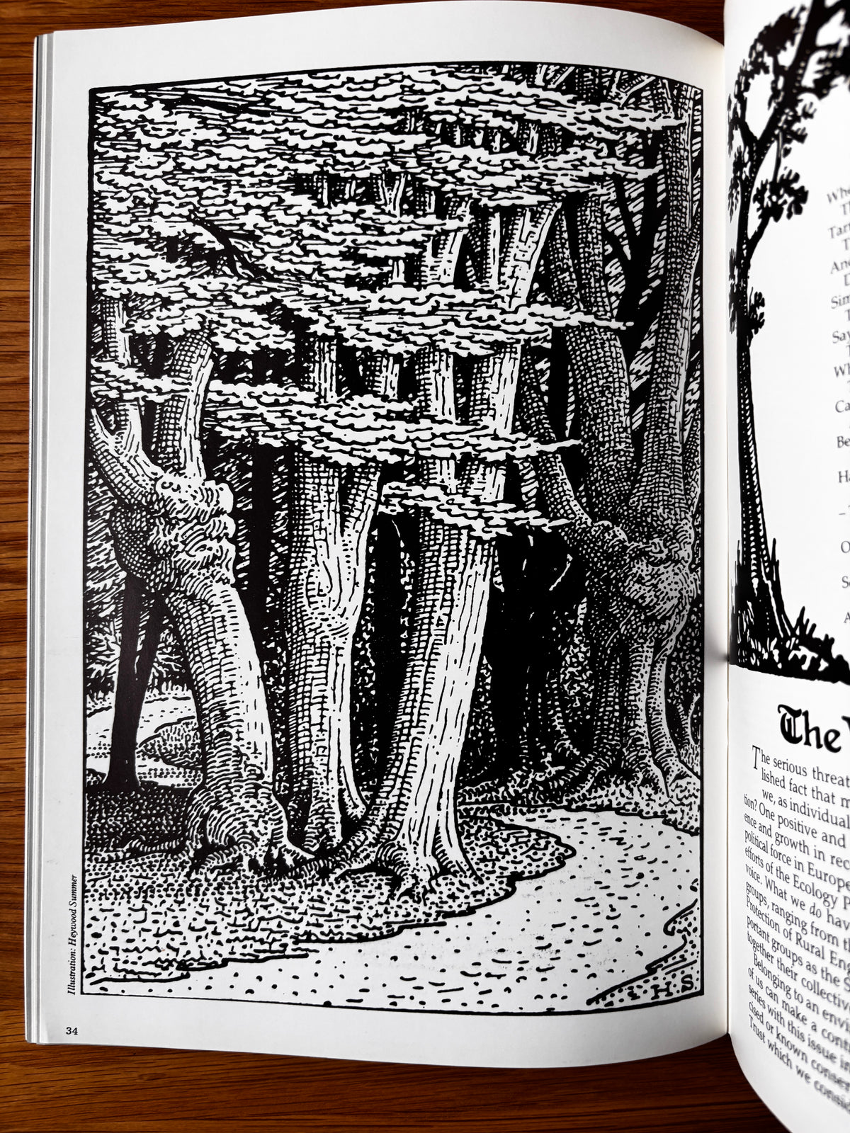 Peter Reddick THE COUNTRY BAZAAR Magazine Autumn 1986 CRAFTS ARTIST