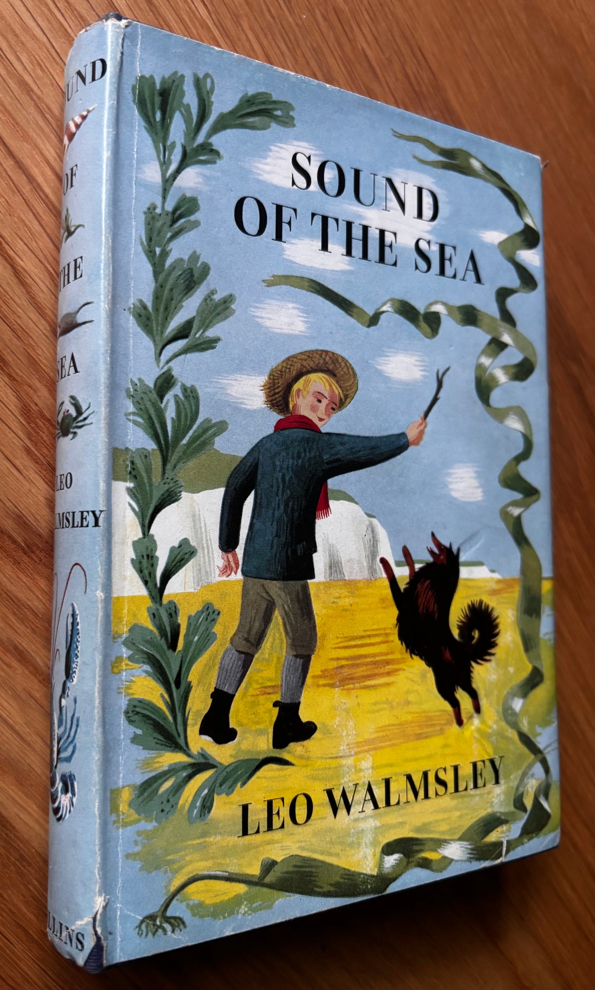 Barbara Jones SOUND OF THE SEA 1st Ed DJ 1959 Leo Walmsley