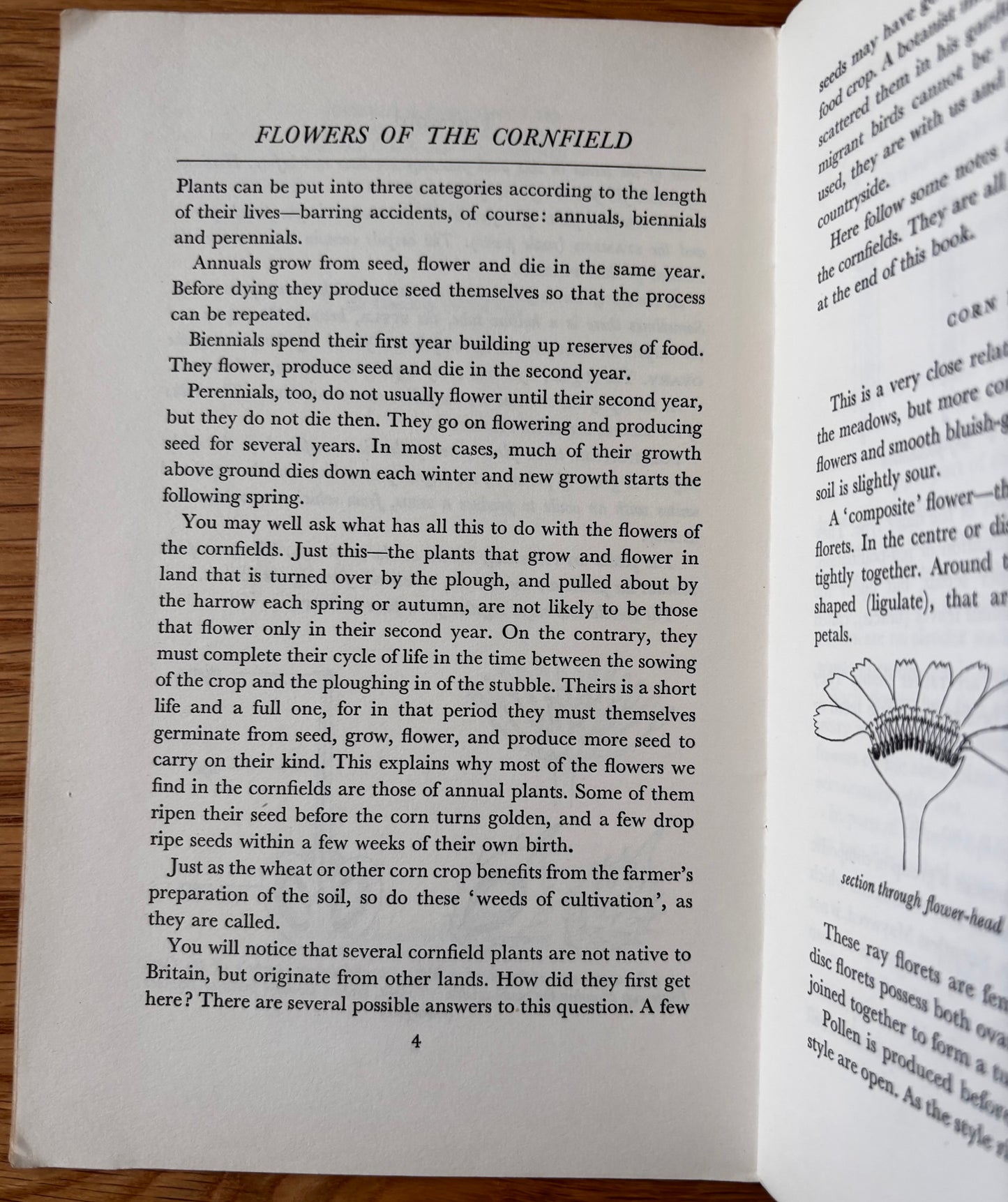 PANTOSCOPE BOOK Flowers Of The Cornfields PAXTON CHADWICK 1st Ed 1960 Cassell
