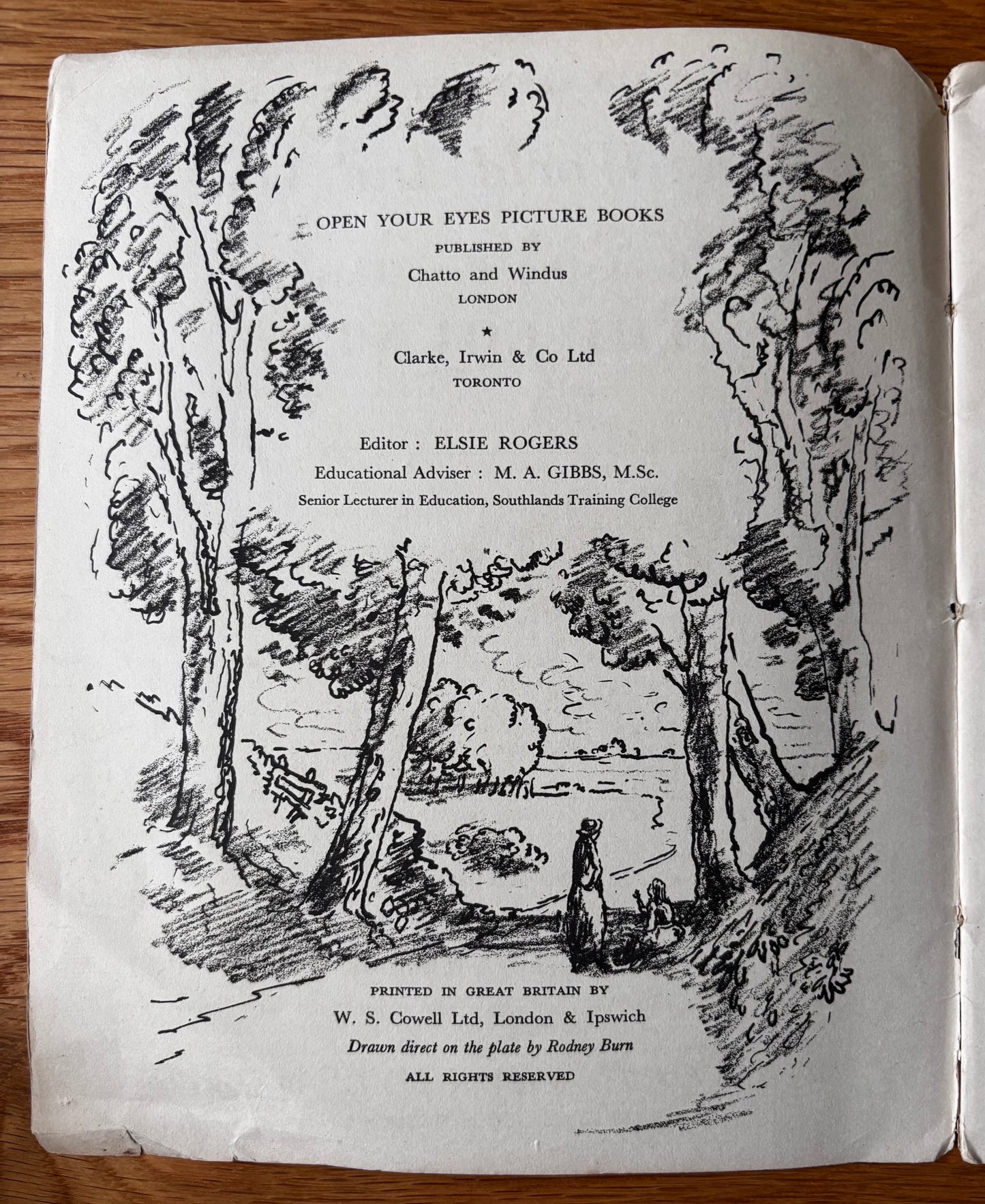 Vincent Lines OPEN YOUR EYES Chatto & Windus THE COUNTY Rodney Burns Illustrated