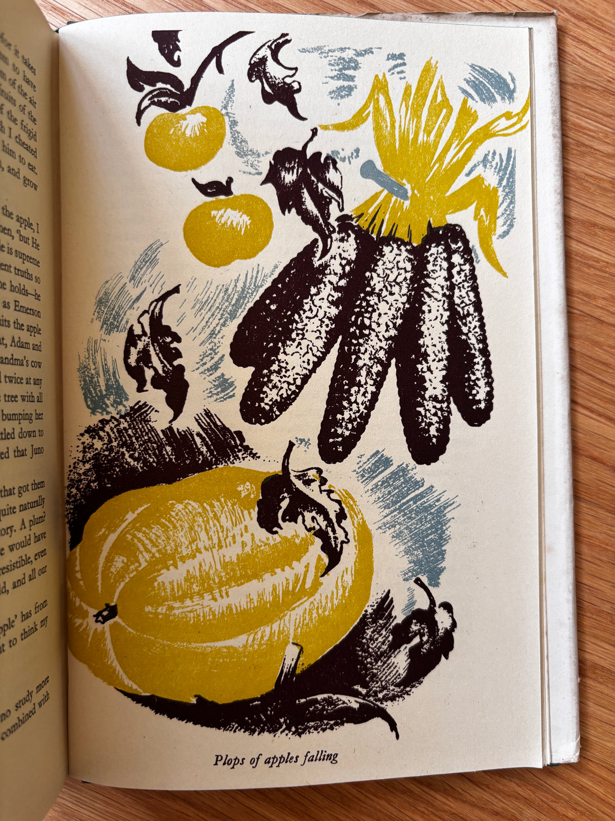 Clare Leighton GREEN CORNERS 1947 1st HB DJ ILLUSTRATED Bertha Damon Gardening
