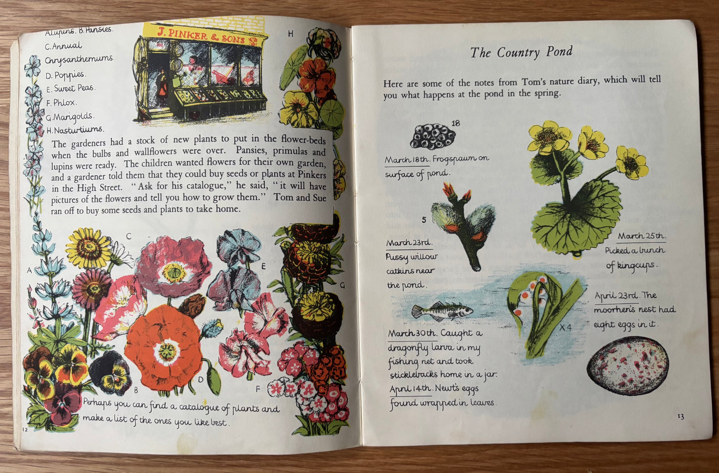 Elsie Few OUT OF DOORS Chatto & Windus NATURE STUDY Jan -Apr Schools Book