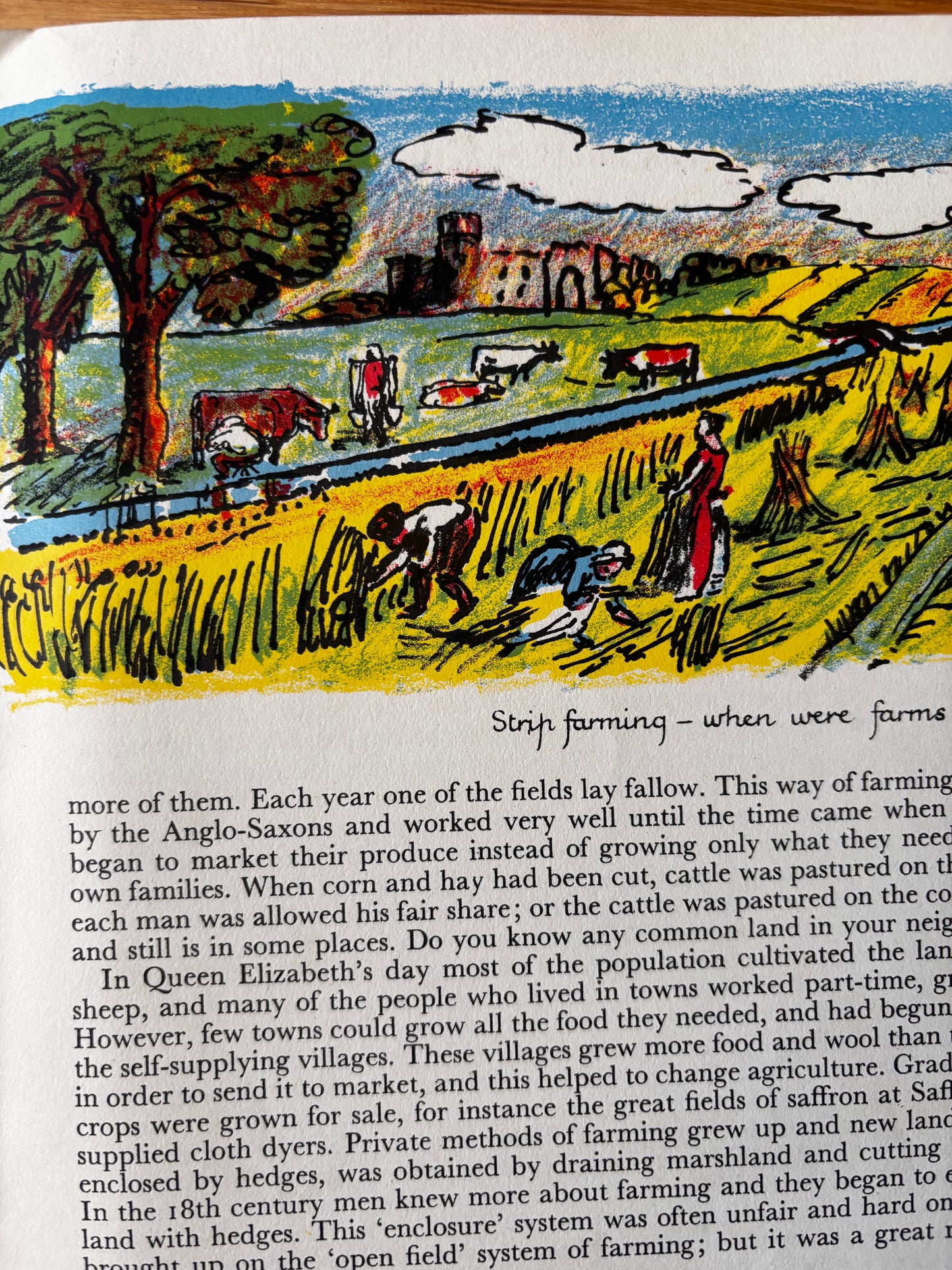 Vincent Lines OPEN YOUR EYES Chatto & Windus THE COUNTY Rodney Burns Illustrated