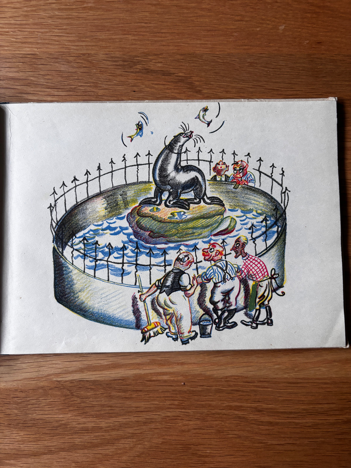 Myrtle Jerrett SELWYN THE SEALION 1948 1st Country Life Illustrated SEALS