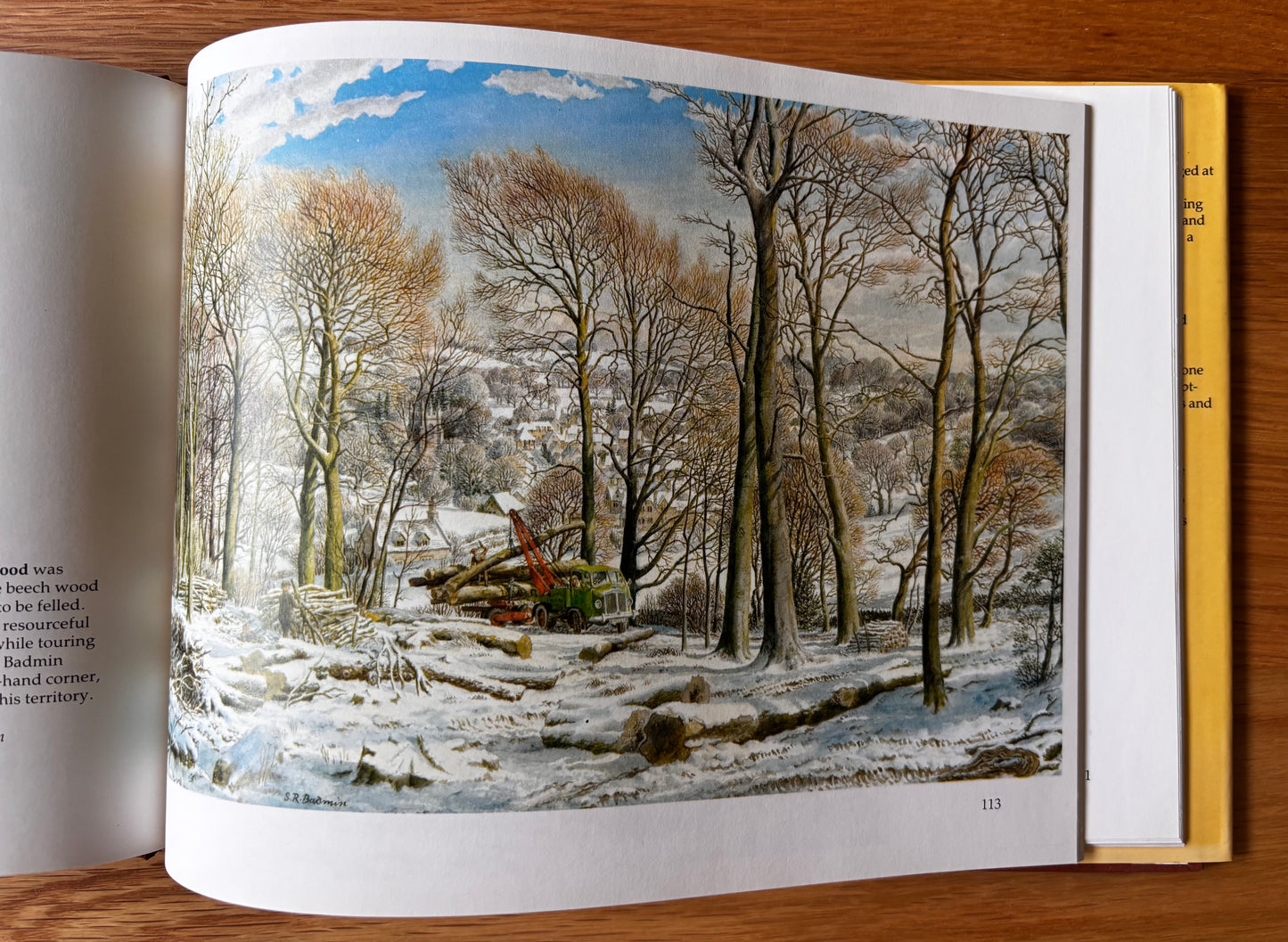 S R Badmin Signed THE ENGLISH LANDSCAPE 1985 ART Chris Beetles ILLUSTRATIONS