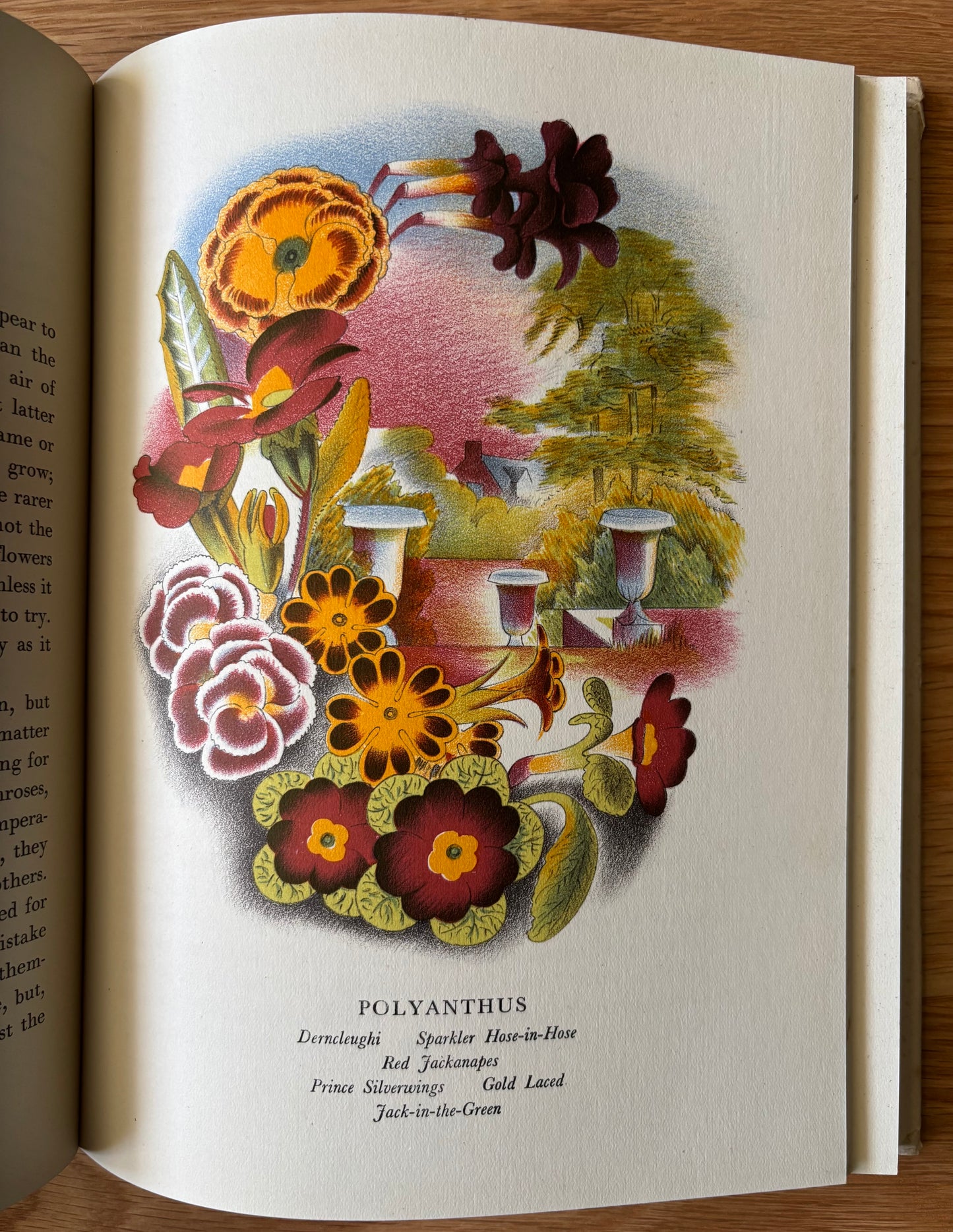 OLD FASHIONED FLOWERS 1948 DJ Sacheverell SItwell John Farleigh