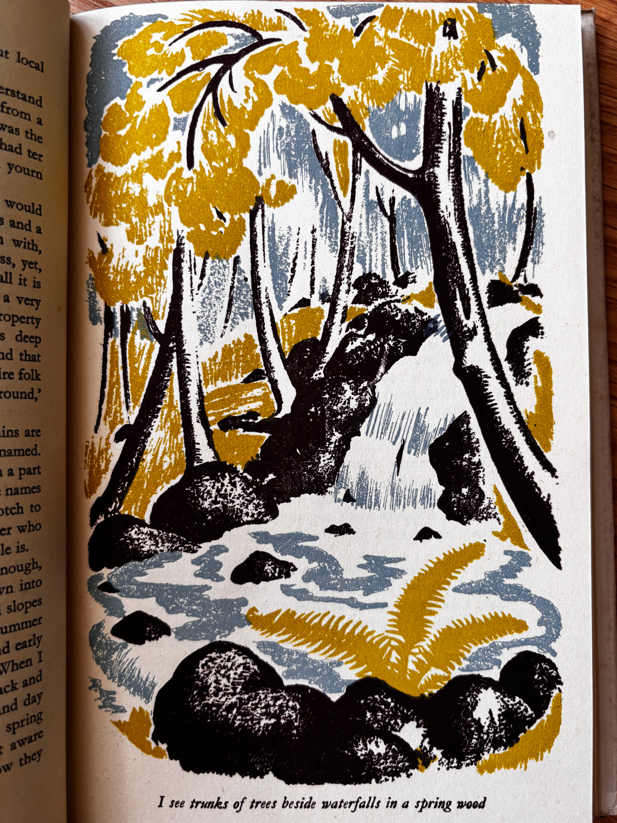 Clare Leighton GREEN CORNERS 1947 1st HB DJ ILLUSTRATED Bertha Damon Gardening