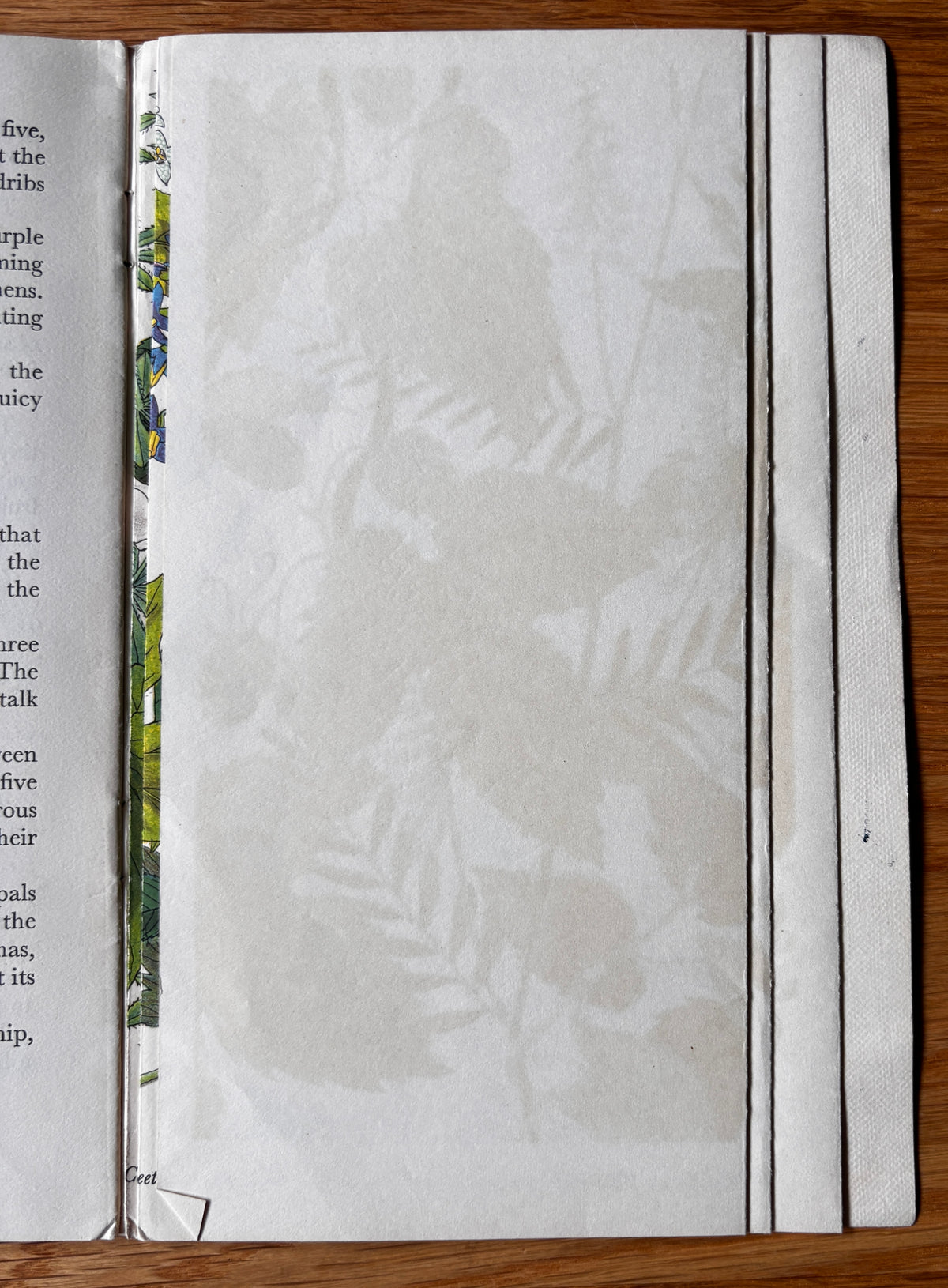 PANTOSCOPE BOOK Climbing Plants PAXTON CHADWICK 1st Ed 1961 Flowers Cassell