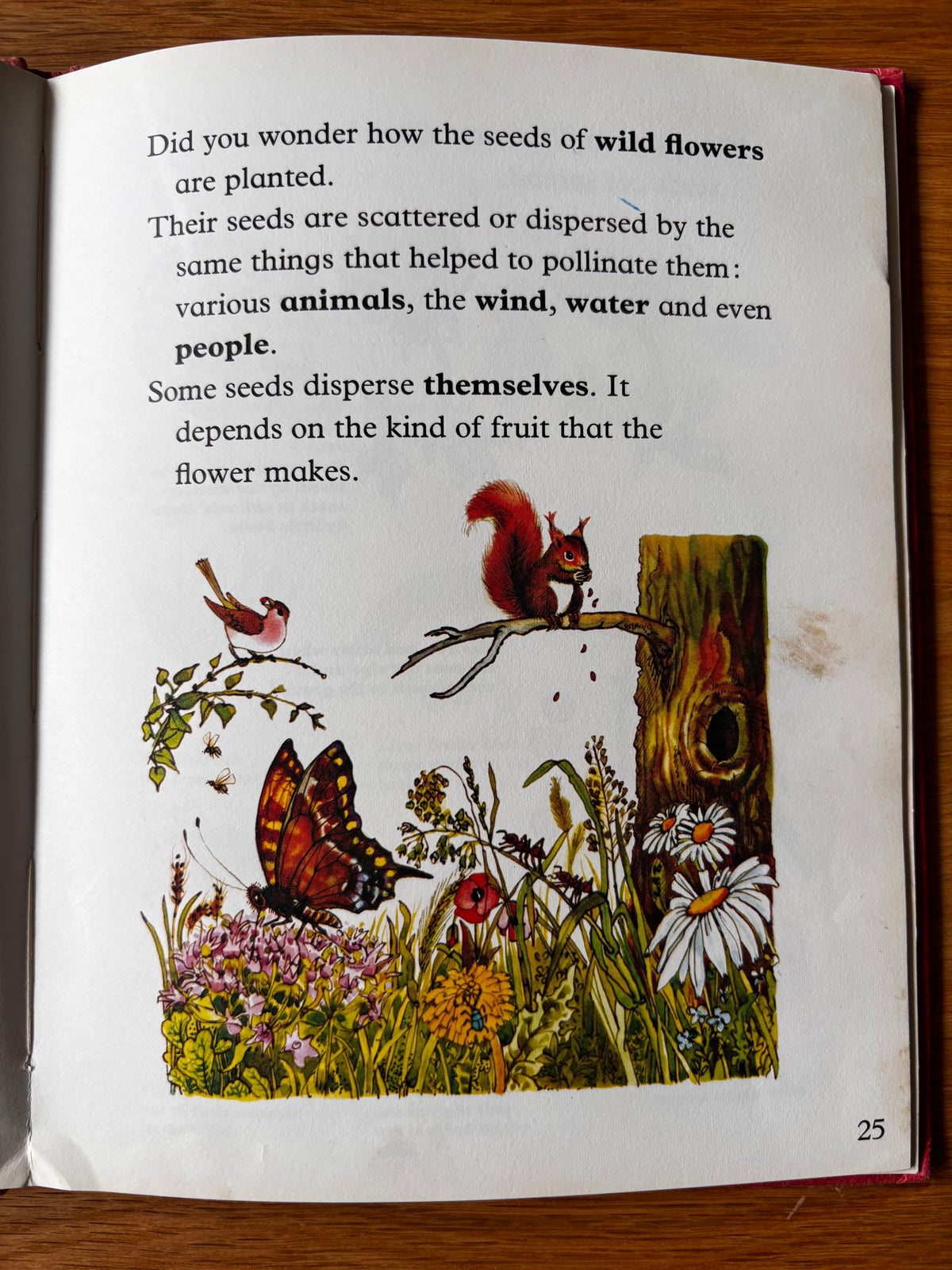 Lida Brychta A FIRST LOOK AT FLOWERS 1st Ed DJ 1973 Franklin Watts ILLUSTRATED