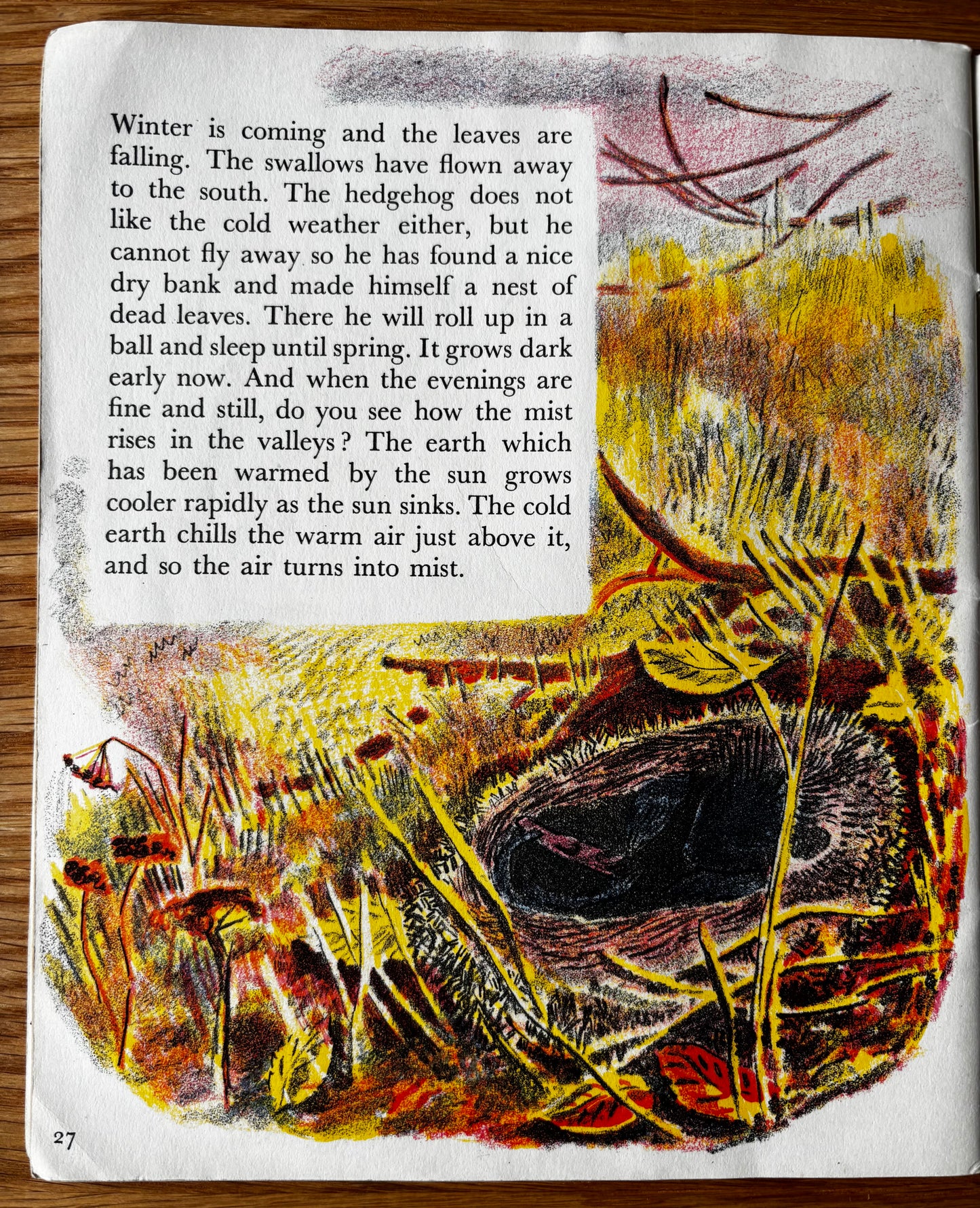 Trekkie Ritchie Parsons COME AND SEE IN AUTUMN Chatto & Windus NATURE BOOK Open Your Eyes