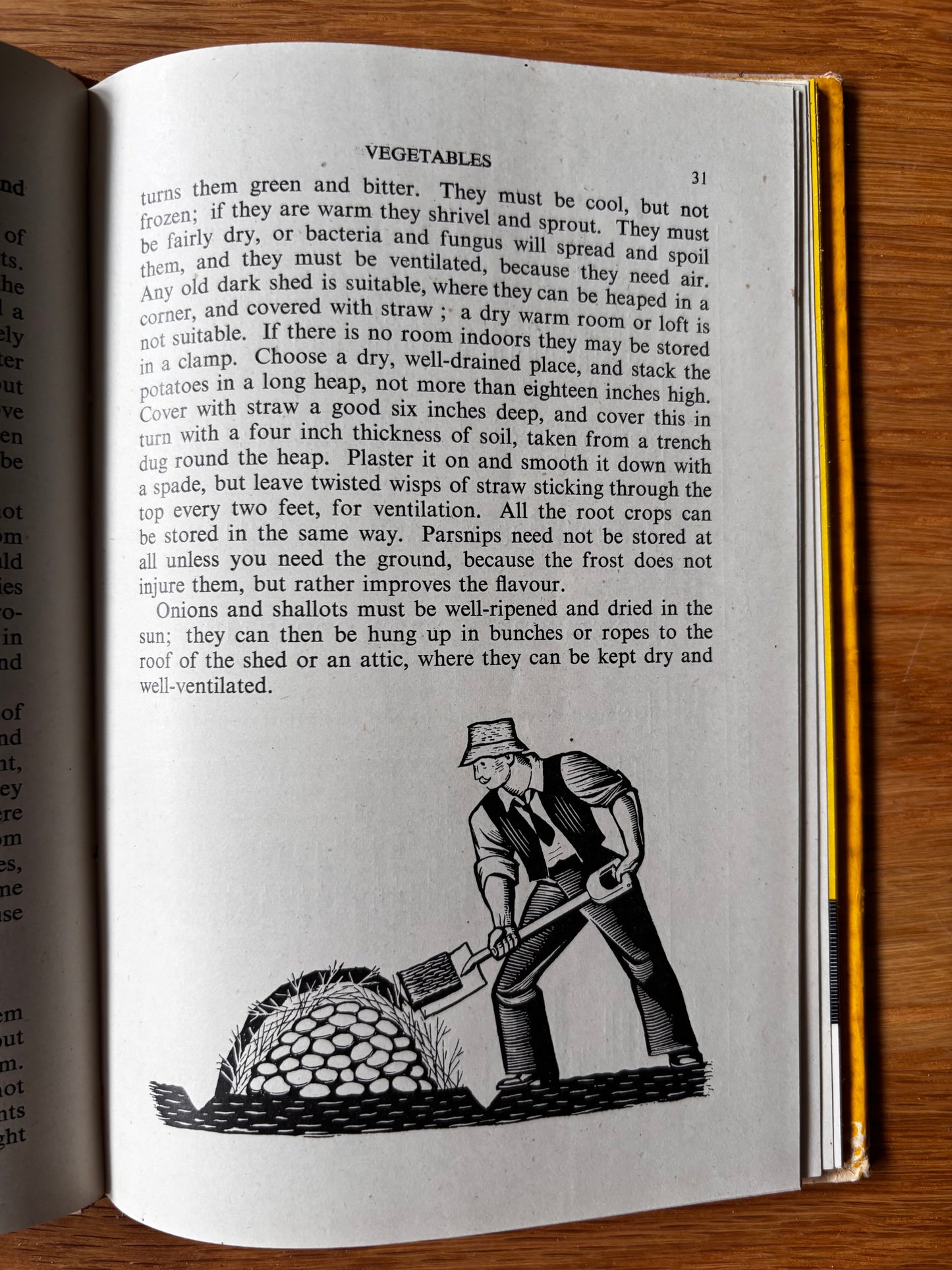 Eric Fraser IN YOUR GARDEN 1st Ed DJ 1940s C H Middleton ILLUSTRATED