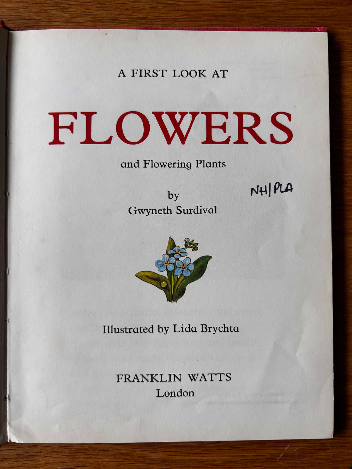 Lida Brychta A FIRST LOOK AT FLOWERS 1st Ed DJ 1973 Franklin Watts ILLUSTRATED