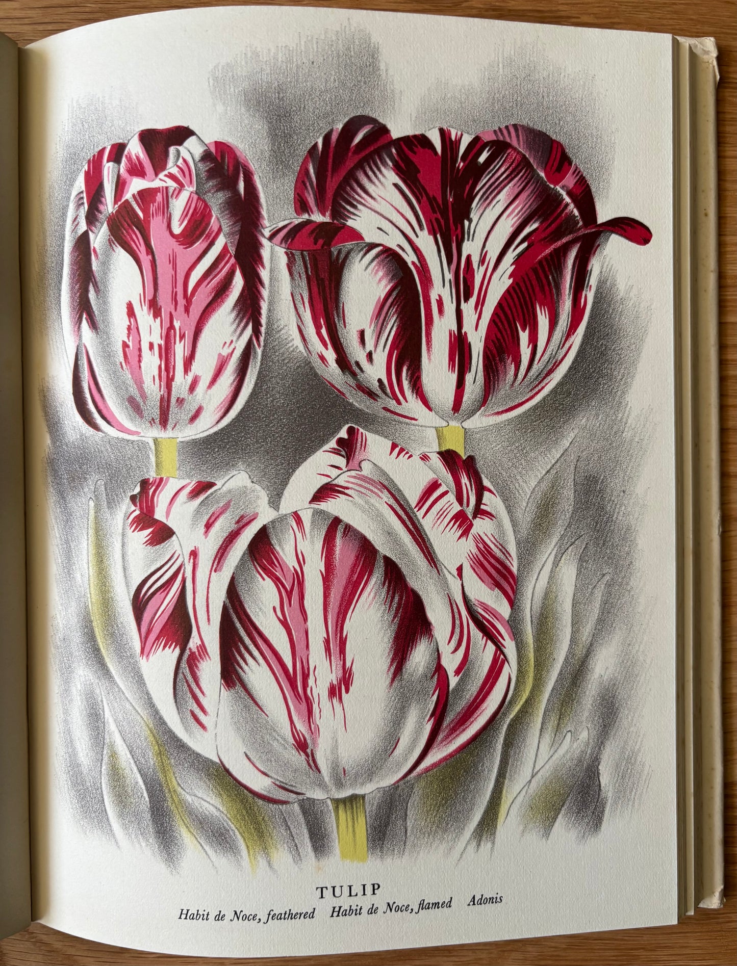OLD FASHIONED FLOWERS 1948 DJ Sacheverell SItwell John Farleigh