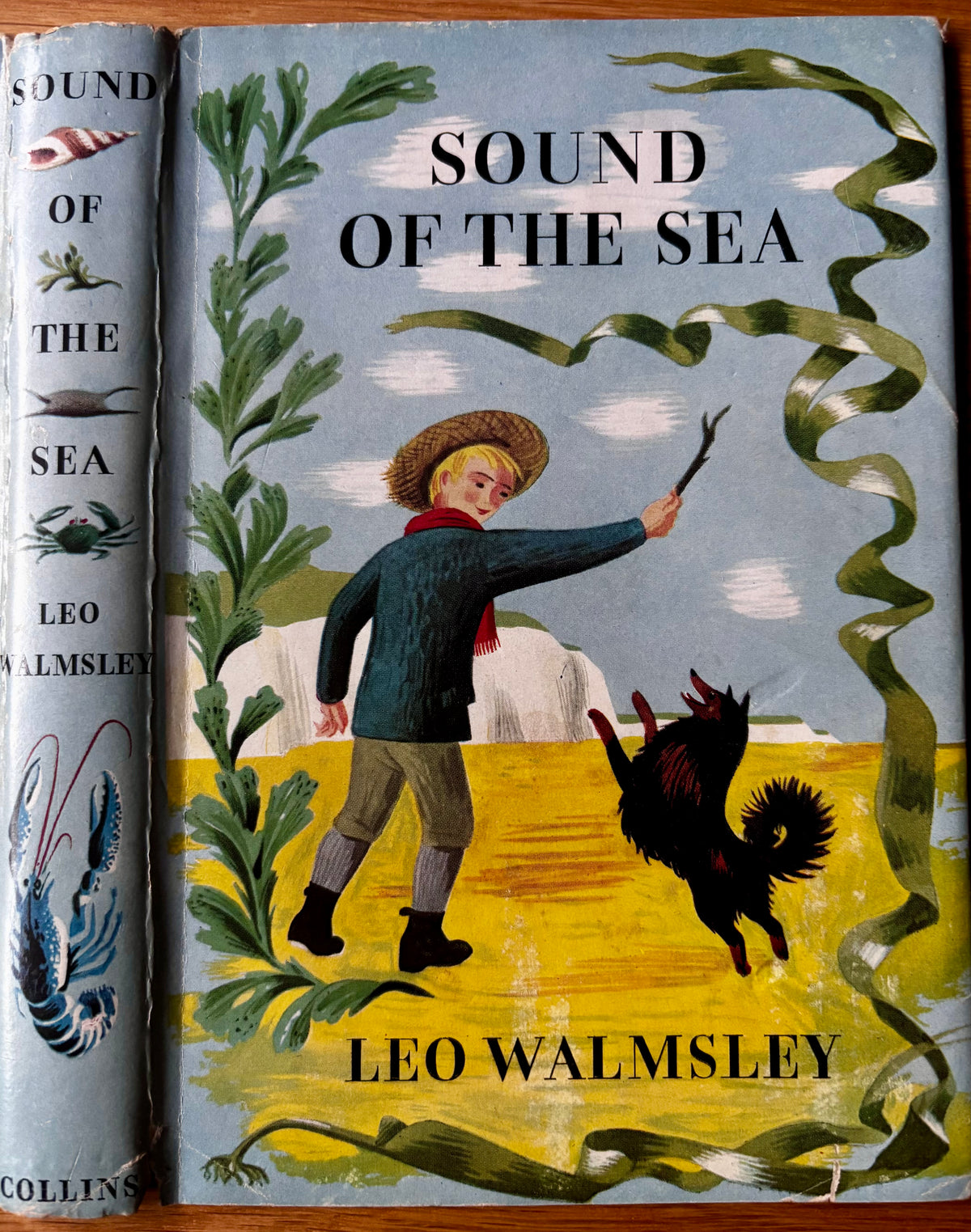 Barbara Jones SOUND OF THE SEA 1st Ed DJ 1959 Leo Walmsley