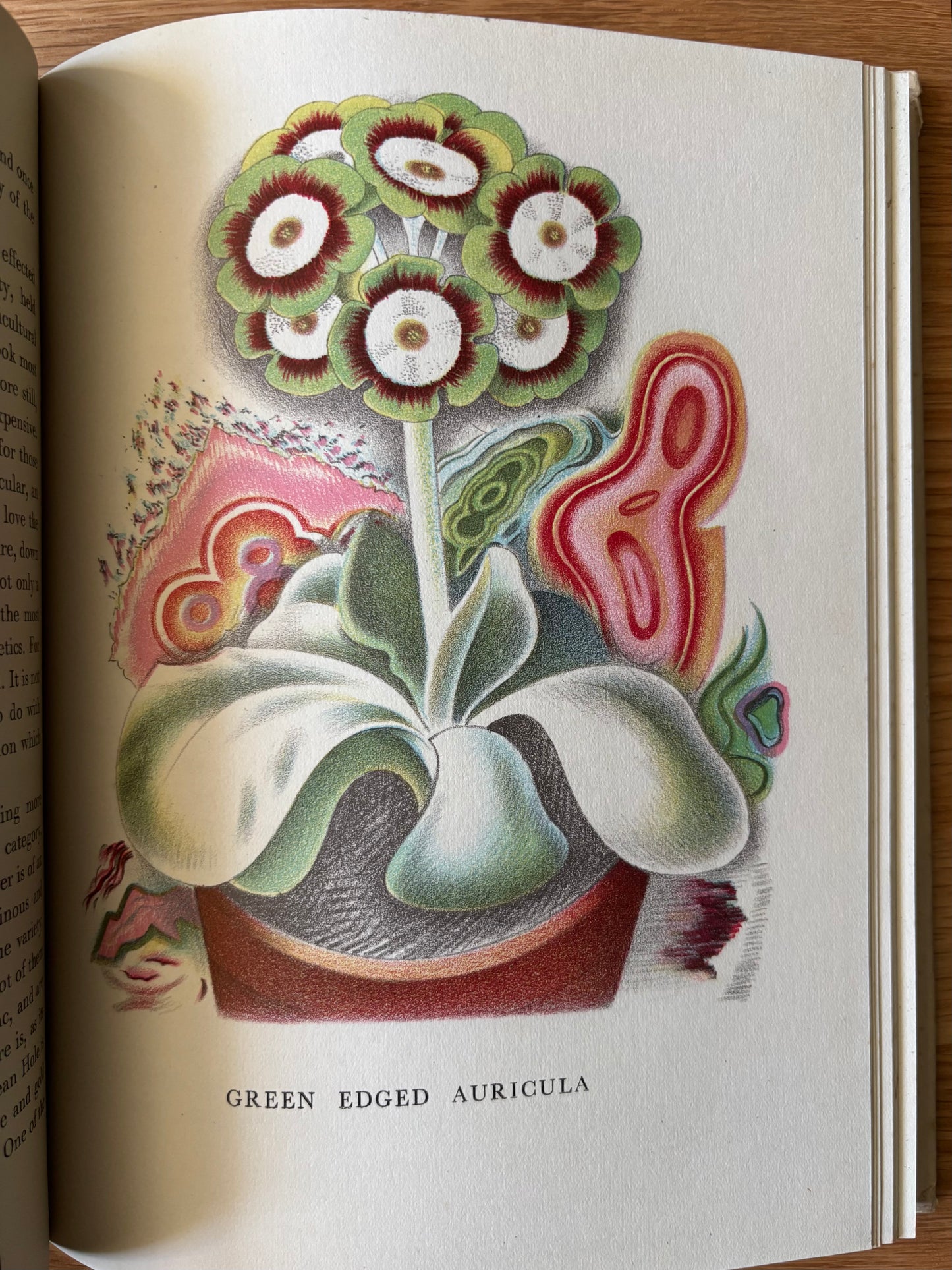 OLD FASHIONED FLOWERS 1948 DJ Sacheverell SItwell John Farleigh
