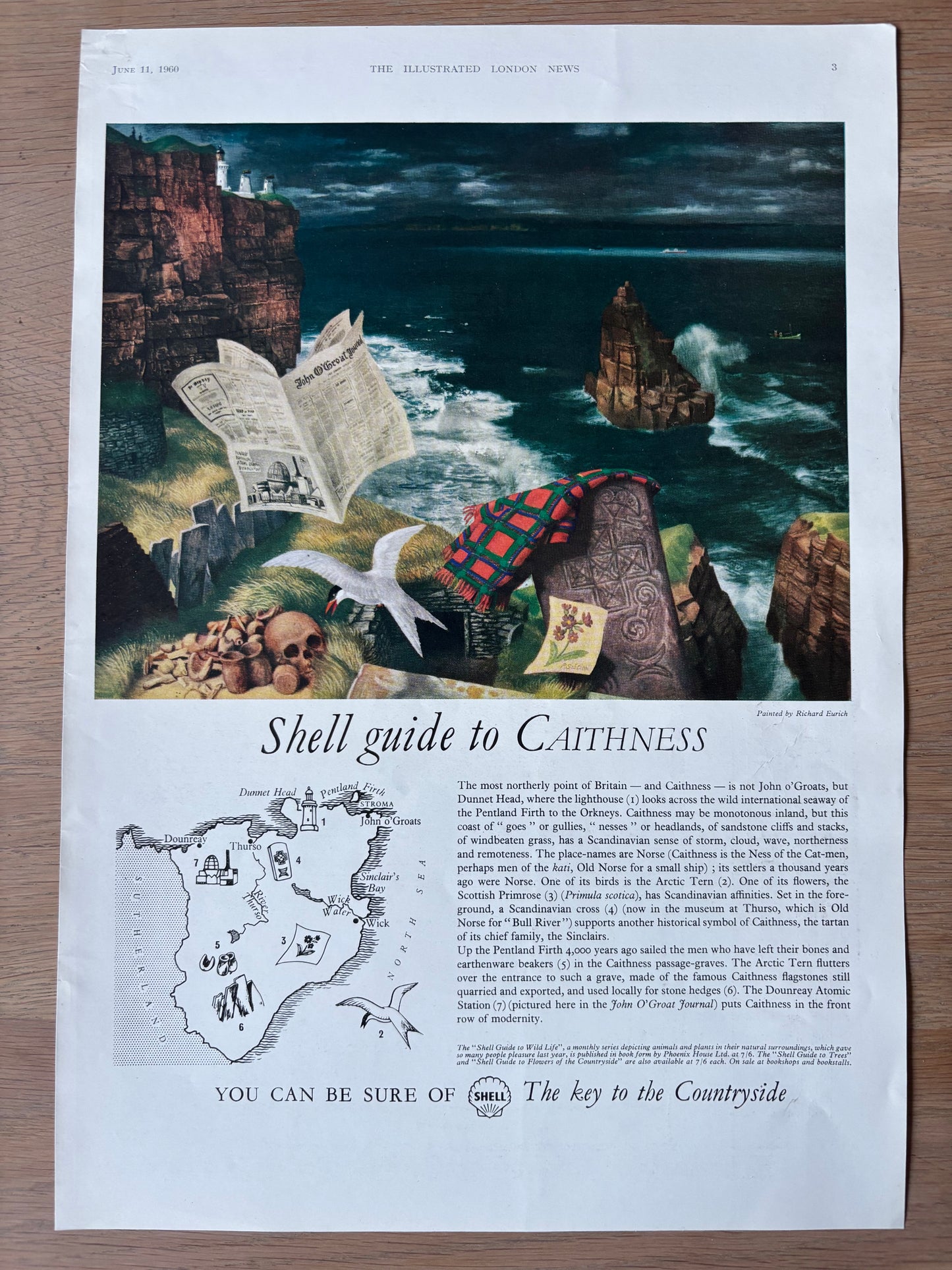 Richard Eurich SHELL GUIDE TO CAITHNESS Large ADVERT Original Ad 1960