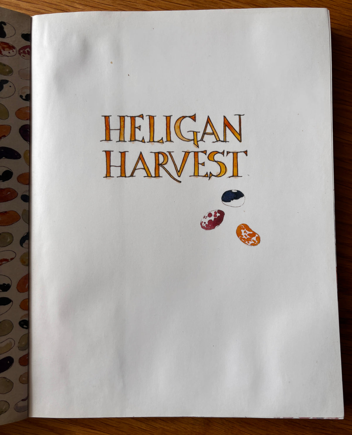 Sue Lewington HELIGAN HARVEST 2003 PB Illustrated CORNWALL ART