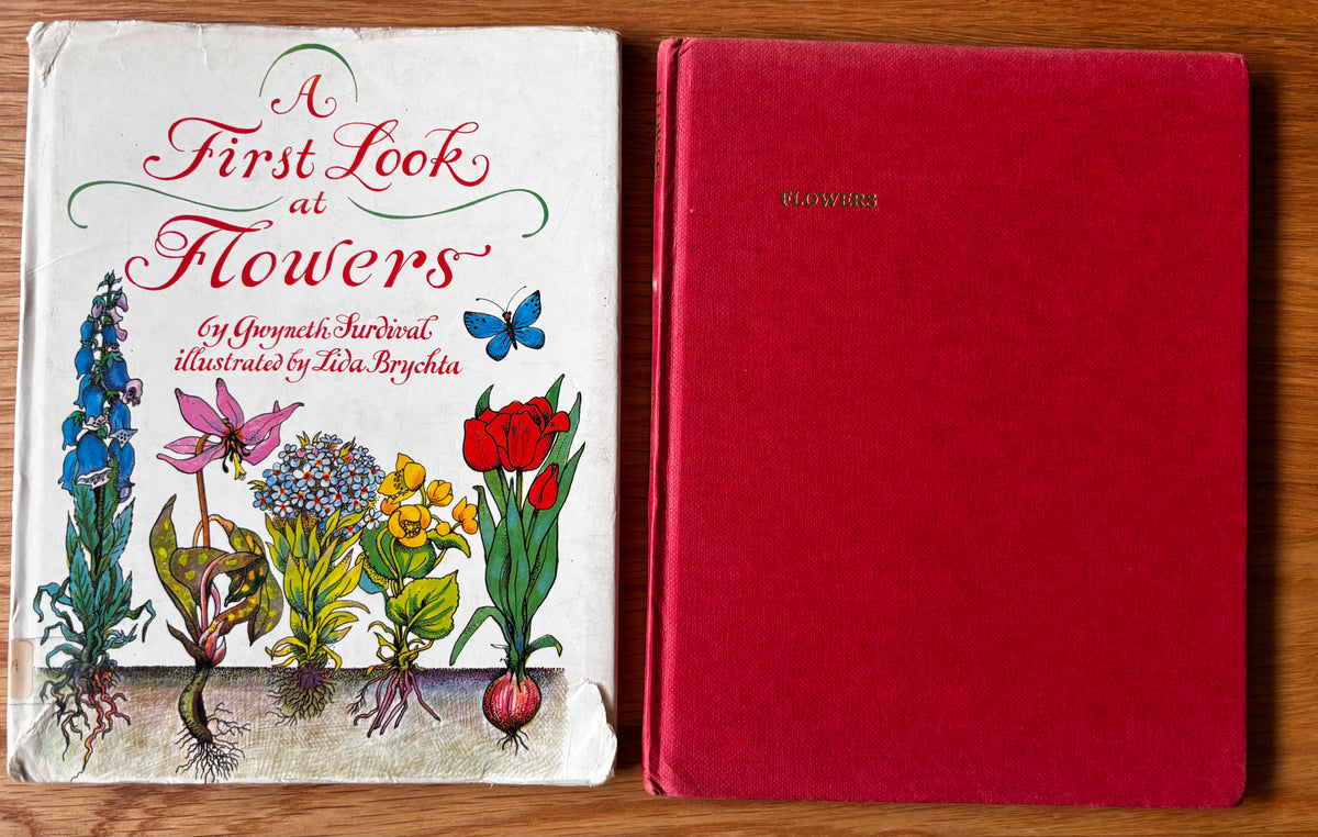 Lida Brychta A FIRST LOOK AT FLOWERS 1st Ed DJ 1973 Franklin Watts ILLUSTRATED