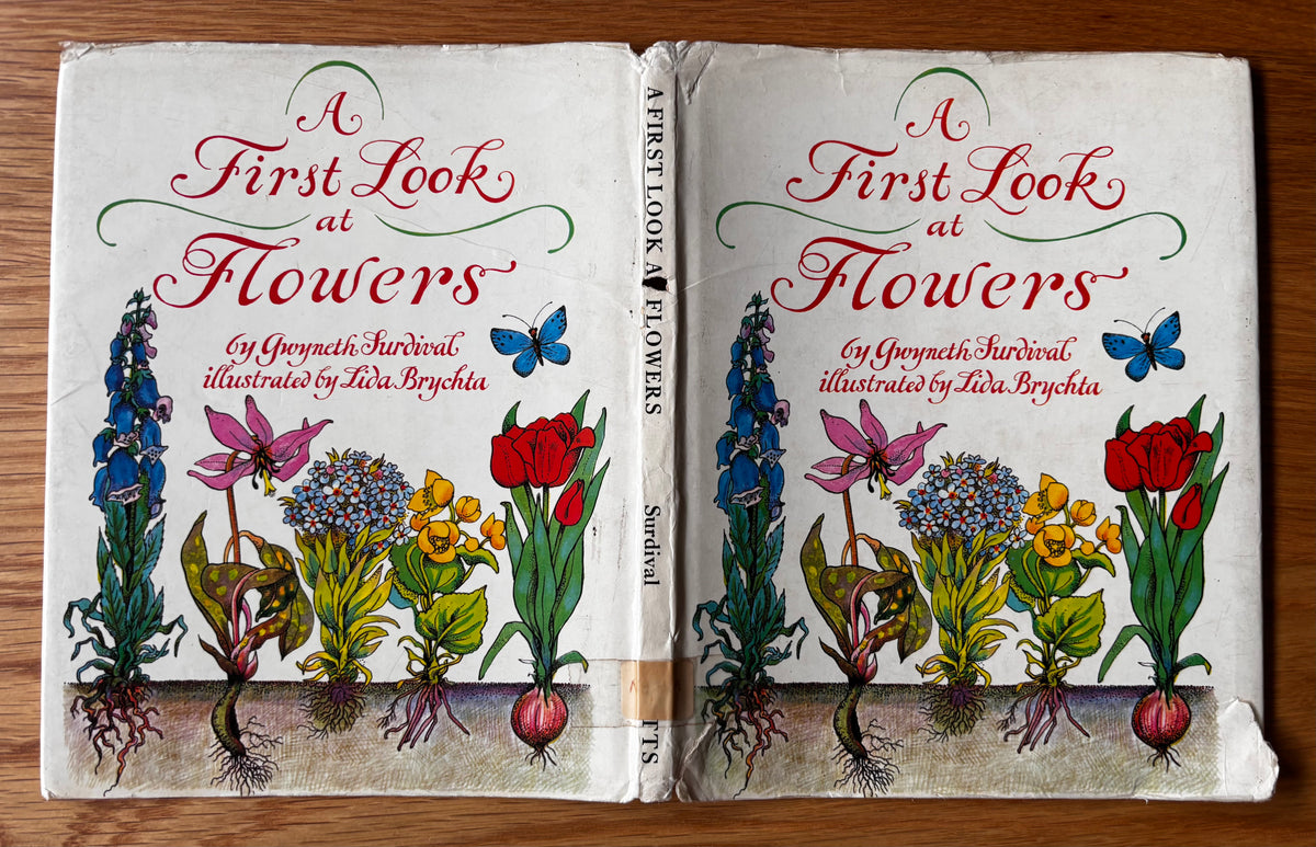 Lida Brychta A FIRST LOOK AT FLOWERS 1st Ed DJ 1973 Franklin Watts ILLUSTRATED