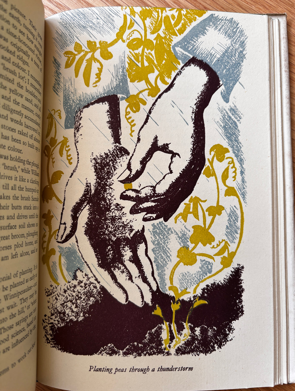 Clare Leighton GREEN CORNERS 1947 1st HB DJ ILLUSTRATED Bertha Damon Gardening