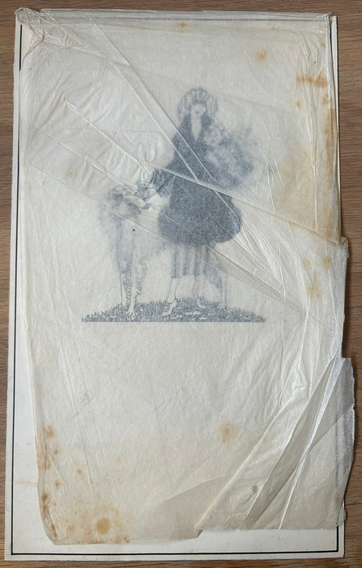 Original Artwork Illustration JESSIE ISABEL GARROW Glasgow School of Art