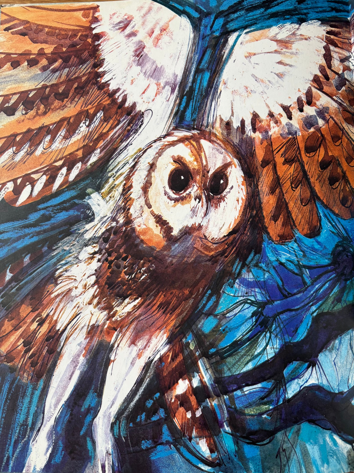 Doreen Roberts THE OTHER SIDE OF THE DAY 1st Illustrated 1976 OUP