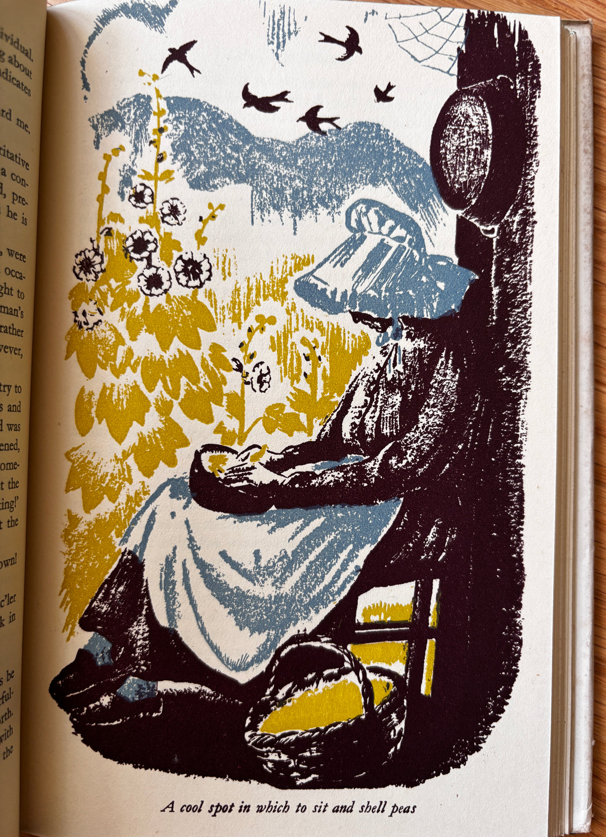 Clare Leighton GREEN CORNERS 1947 1st HB DJ ILLUSTRATED Bertha Damon Gardening